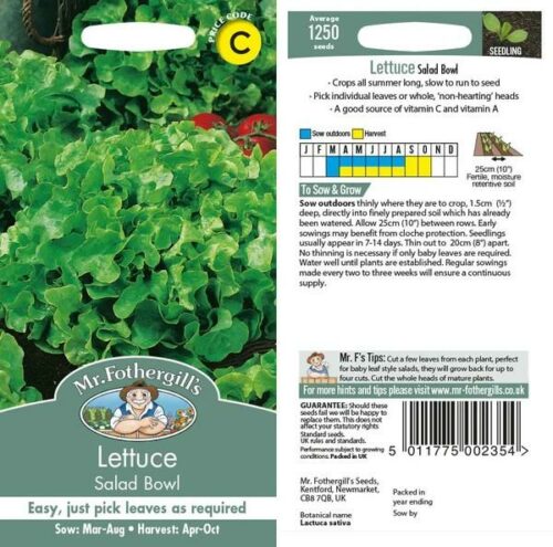 Lettuce Salad Bowl Seeds Product Image
