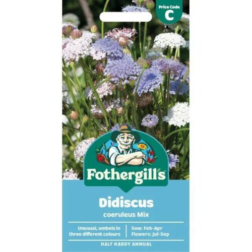 Didiscus Coeruleus Mix Seeds Product Image