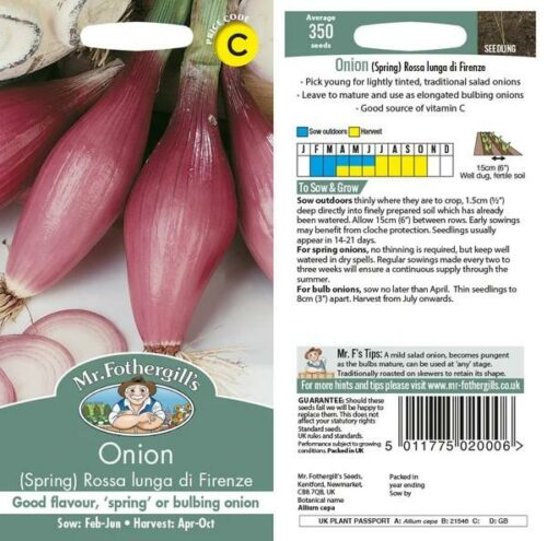 Onion (Spring) Rossa lunga di Firenze Seeds Product Image