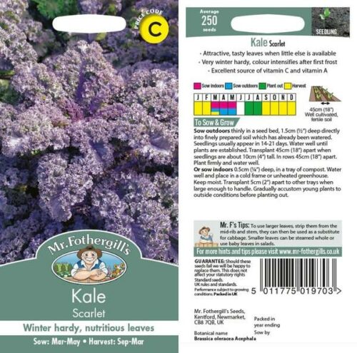 Kale Curly Scarlet Seeds Product Image