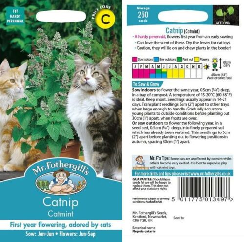 Nepeta Catnip Seeds Product Image