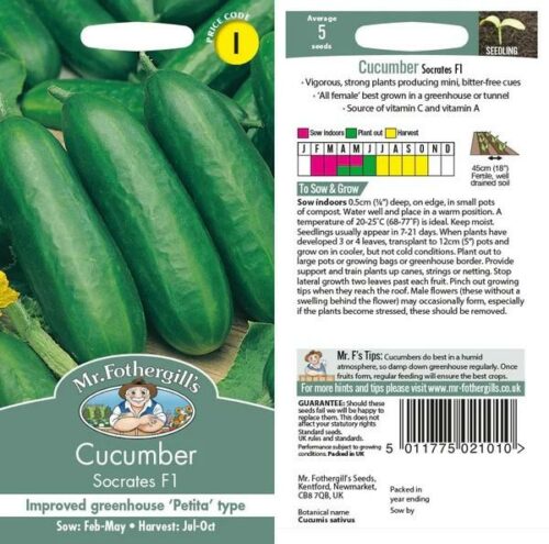 Cucumber Socrates F1 Seeds Product Image