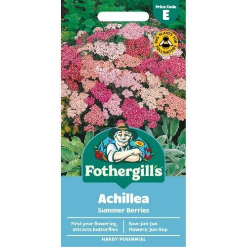 Achillea Summer Berries F2 Seeds Product Image