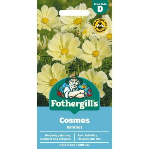 Cosmos Xanthos Seeds Product Image