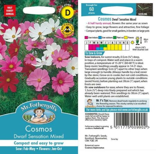 Cosmos Dwarf Sensation Mixed Seeds Product Image