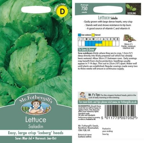 Lettuce Saladin Seeds Product Image