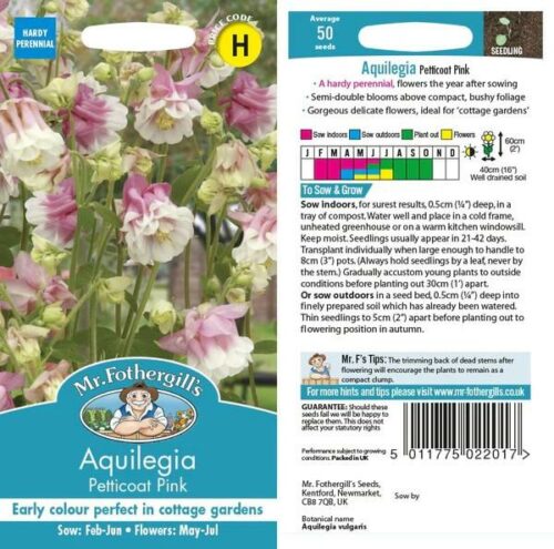 Aquilegia Petticoat Pink Product Image