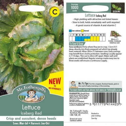 Lettuce Iceberg Red Seeds Product Image