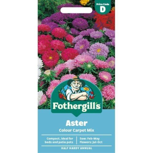 Aster Colour Carpet Mixed Product Image