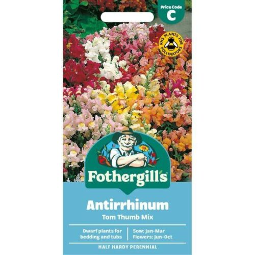 Antirrhinum Tom Thumb Mixed Seeds Product Image