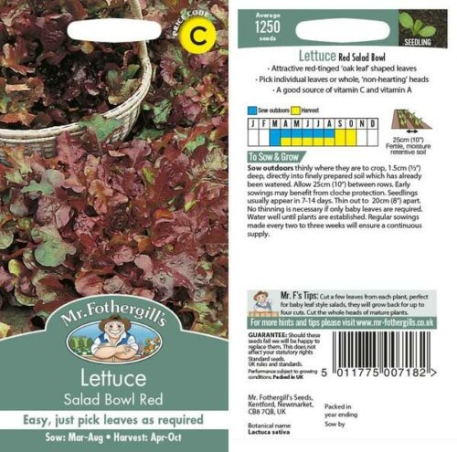 Lettuce Salad Bowl Red Seeds Product Image