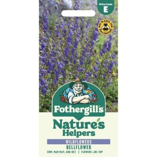 Nature’s Helpers Bellflower Wildflower Seeds Product Image