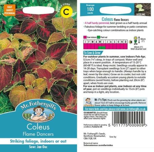 Coleus Flame Dancers Seeds Product Image