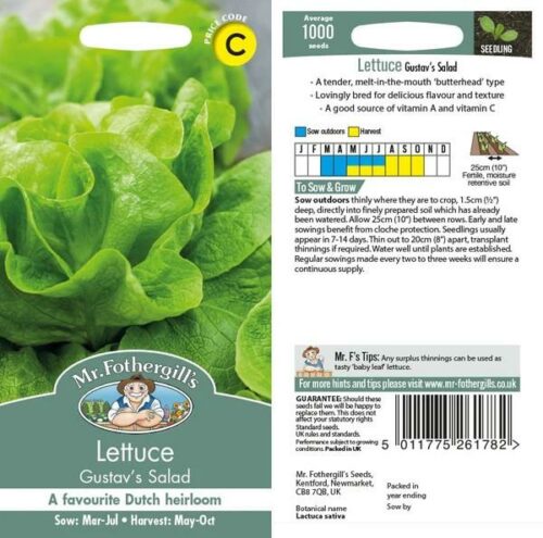 Lettuce Gustav’s Salad Seeds Product Image