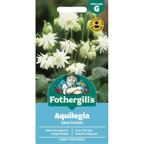 Aquilegia Lime Sorbet Seeds Product Image