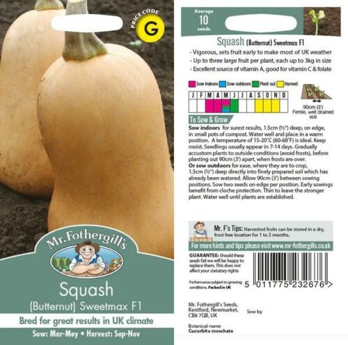 Squash (Butternut) Sweetmax F1 Seeds Product Image