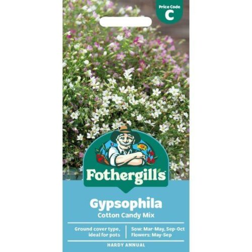 Gypsophila Cotton Candy Mix Seeds Product Image