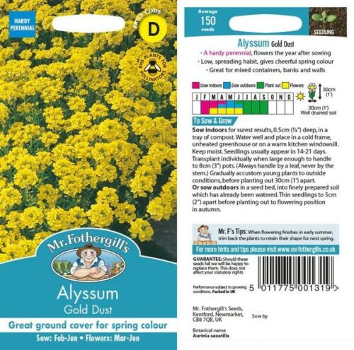 Alyssum Gold Dust Seeds Product Image