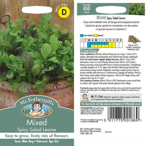 Salad Leaves Mixed Spicy Product Image