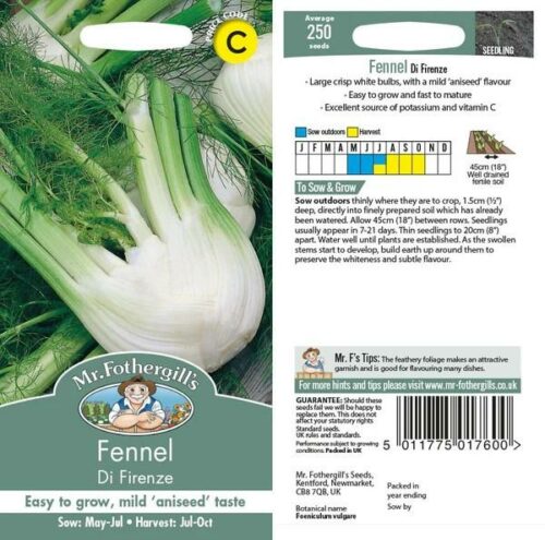 Fennel di Firenze Seeds Product Image