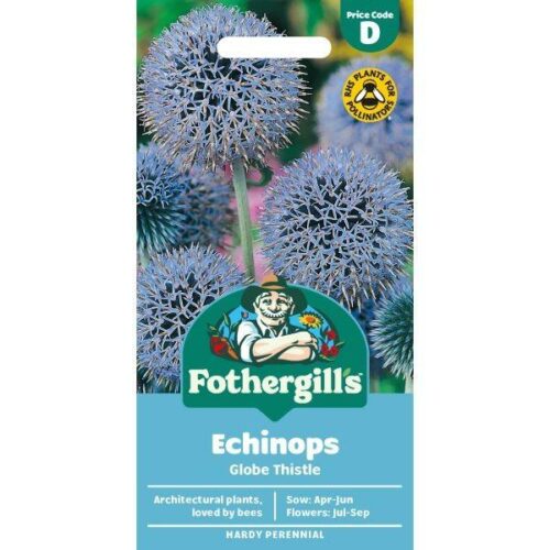 Globe Thistle Seeds Product Image