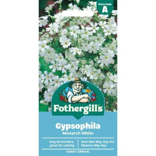 Gypsophila Monarch White Product Image