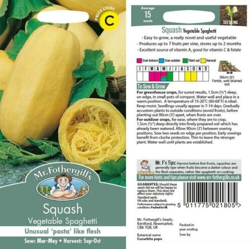 Squash (Summer) Vegetable Spaghetti Seeds Product Image
