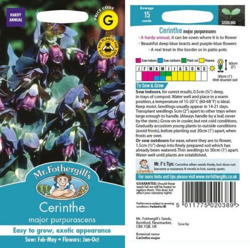 Cerinthe major purpurascens Seeds Product Image