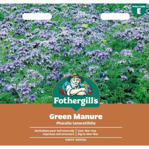 Phacelia Green Manure Tanacetifolia Product Image
