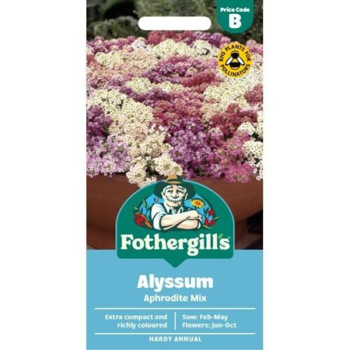 Alyssum Aphrodite Mixed Flower Seeds Product Image