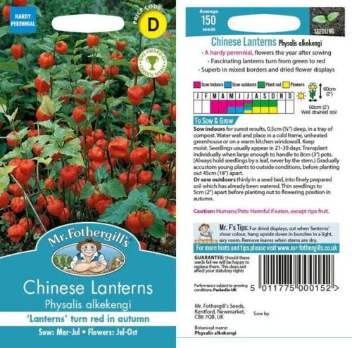 Chinese Lanterns Seeds Product Image