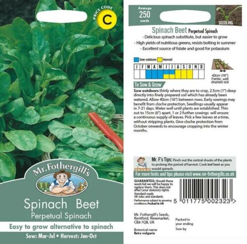 Beet Leaf Perpetual Spinach Seeds Product Image