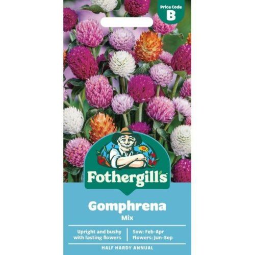 Gomphrena Mixed Flower Seeds Product Image