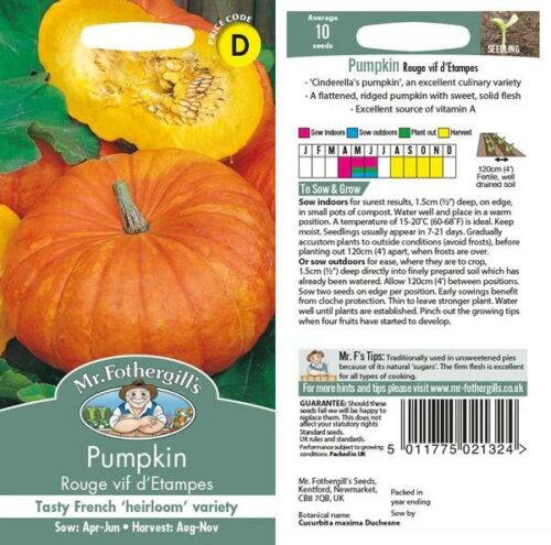 Pumpkin Rouge vif d’Etampes Seeds Product Image