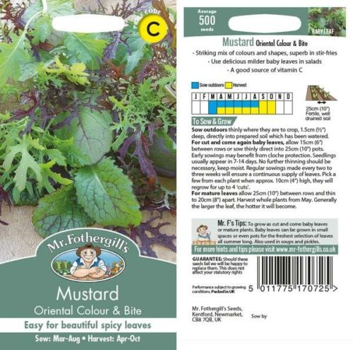 Salad Leaves Mustard Colour & Bite Product Image