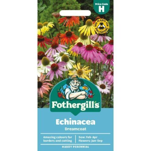 Echinacea Dreamcoat Seeds Product Image