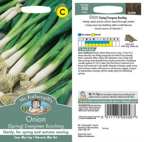 Onion (Spring) Evergreen Bunching Seeds Product Image