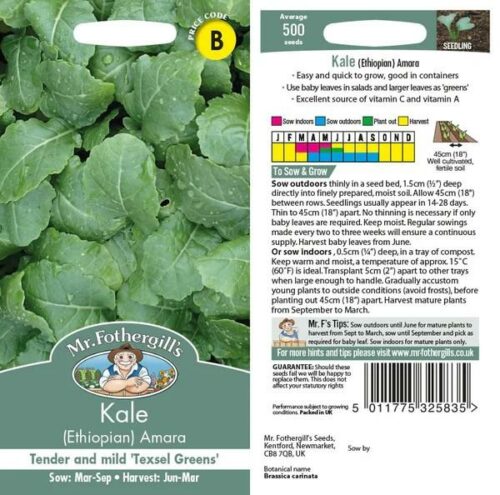 Kale (Ethiopian) Amara Vegetable Seeds Product Image