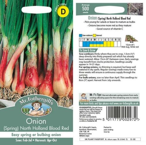 Onion (Spring) North Holland Blood Red Seeds Product Image