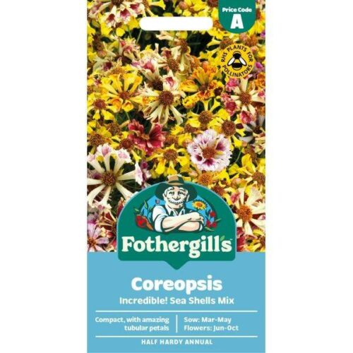 Coreopsis Incredible! Sea Shells Mix Flower Seeds Product Image