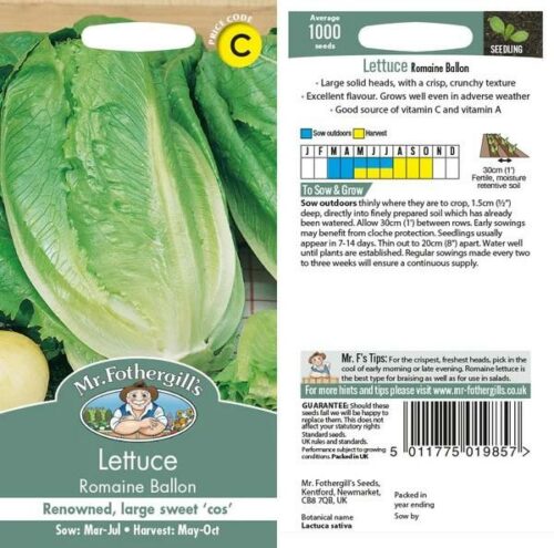 Lettuce Romaine Ballon Seeds Product Image