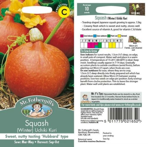 Squash (Winter) Uchiki Kuri Seeds Product Image