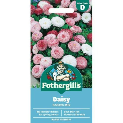 Bellis Goliath Mixed Product Image