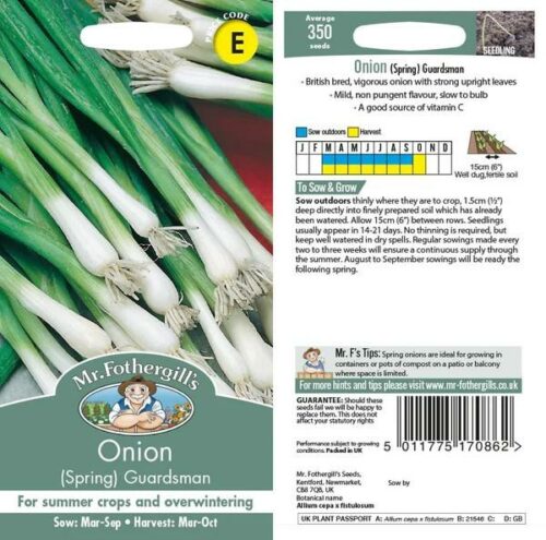 Onion (Spring) Guardsman Seeds Product Image