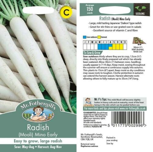 Radish Mooli Mino Early Seeds Product Image