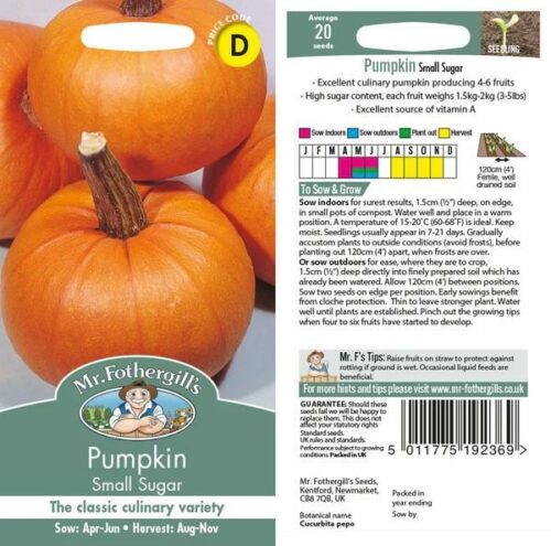 Pumpkin Small Sugar Seeds Product Image