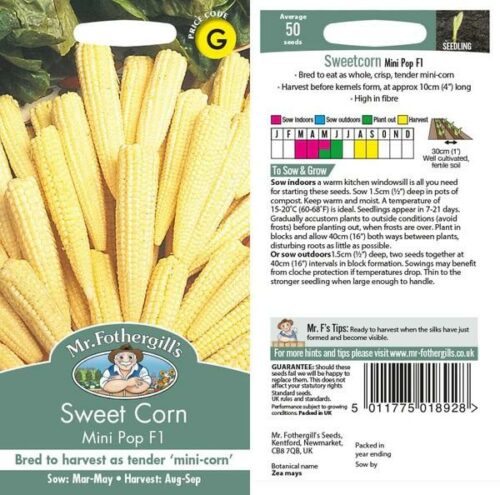 SweetCorn Minipop F1 Seeds Product Image