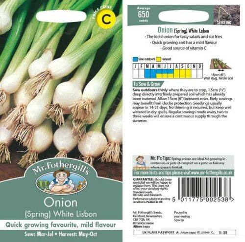 Onion (Spring) White Lisbon Seeds Product Image