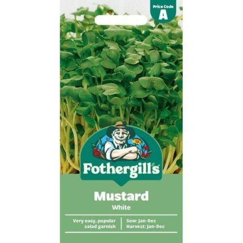 Mustard White Seeds Product Image