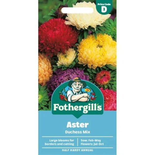 Aster Duchess Mixed Seeds Product Image